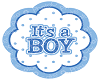 Boy Reveal Box