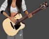 acoustic guitar w/poses