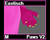 Exotisch Paws M V2