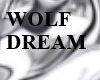 WOLF DREAMCATHER