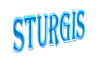 Sturgis Sticker