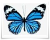 [Nre-r]Blue Butterfly
