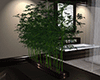 Modern Bamboo Plant