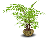 Jungle Potted Plant