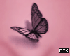 DY!*Butterfly*