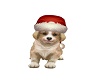 christmas carol puppy
