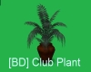 [BD] Club Plant