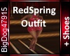 [BD]RedSpringOutfit