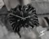 Black Sigil Watch
