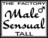 TF Sensual Male Avi Tall