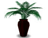 SE-Redwood Vase & Plant