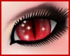 Red Cat Eyes (F)