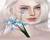 ⟣ Light Blue Lily