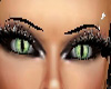 Green Cat Eyes Famele