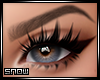 Milly Enchant Brow