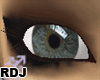 [RDJ] Eye F1