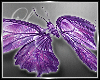 *Lb* Butterfly 3 Purple