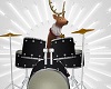 Reindeer drummer !