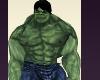 Incredible HULK Halloween Costume Green Monsters Funny Rave SONG