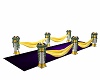 PurpleMoon WeddingRunway