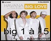 Big love-HAVANA