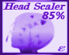 HEAD SCALER, 85%*