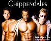 Chippendales Back Drop