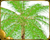 Palm Tree W.SitSpot