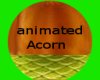 [LD] Acorn