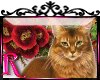 *R* Cat & Flowers ENH