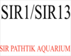 sir path aquarium