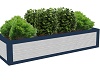 COUNTRY PLANTER