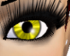 [G] Bright Yellow Eyes