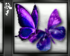 D3~Purple Butterflies En