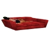 Red Fur Couch