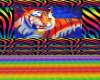 Rainbow tiger club