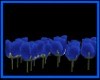 Blue Roses Only