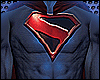Superman Kingdom/Suit