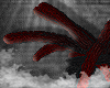 PineBangosRed