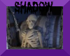 Shadow's Skeleton