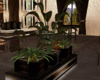 :1: Azalea Plant