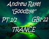 Andy Rayel - Goodbye 1/2