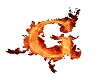 letter fire G