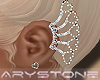 $ Shine earrings