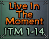 ♫ Live In The Moment