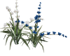 winter flowers