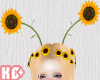 Ko ll  Head Sunflower
