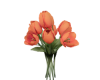 ASM Rubina Tulips Orange