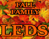 LEDS FALL FAMILY MENS