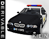 [KNG] Police BMW5